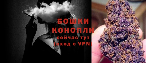 крисы Арсеньев