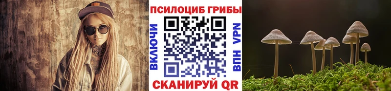 наркошоп  Котлас  Галлюциногенные грибы мицелий 
